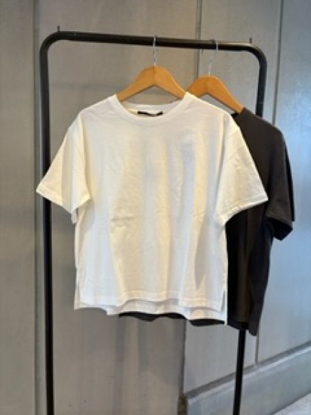 画像1: クルーネック　T (1)