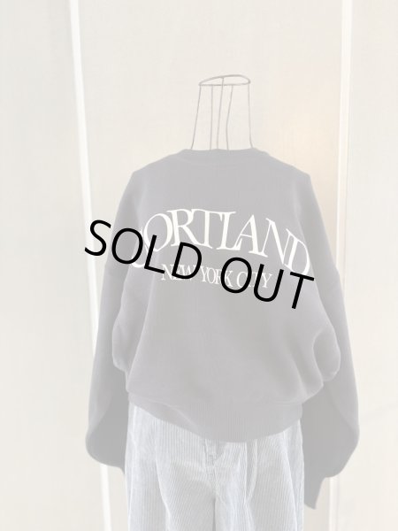 画像2: スエットライク ロゴ クルーネックプルオーバー (2)